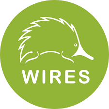 Wires Logo